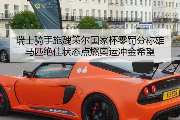 瑞士骑手施魏策尔国家杯零罚分称雄 马匹绝佳状态点燃奥运冲金希望 - Kering