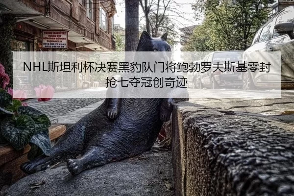 NHL斯坦利杯决赛黑豹队门将鲍勃罗夫斯基零封抢七夺冠创奇迹